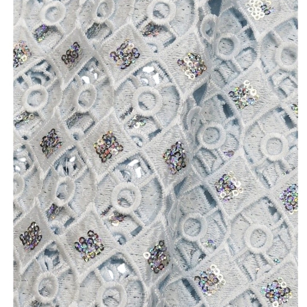 Guipure Lace with Sequence Fabric